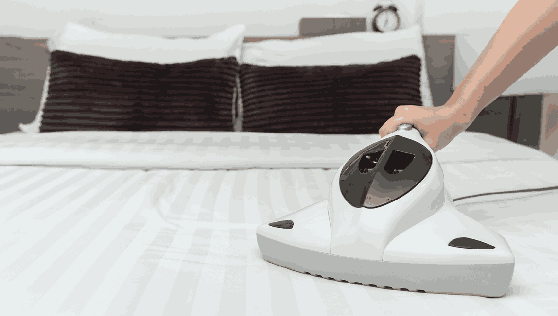 Professional Mattress Cleaning Ingliston